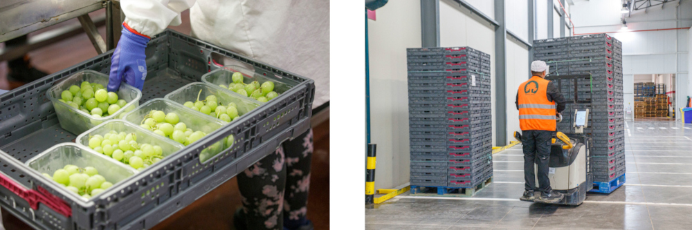Optimize Packaging for Real Distribution Conditions